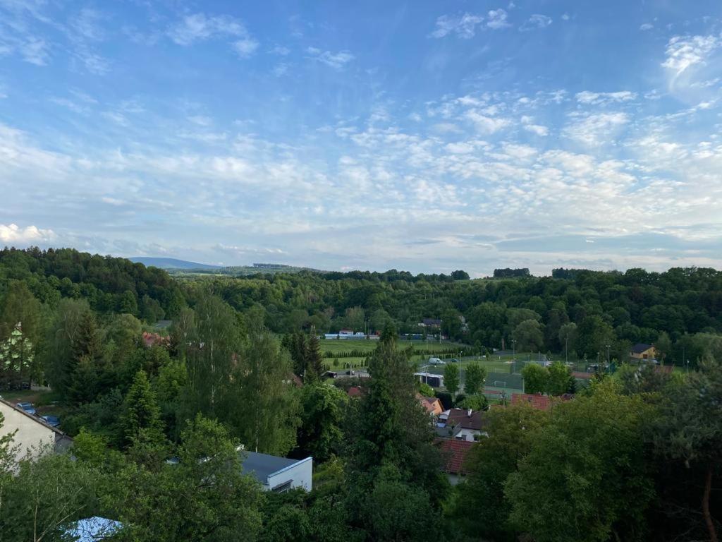 Ferienwohnung Okno Na Izery Löschney Exterior foto