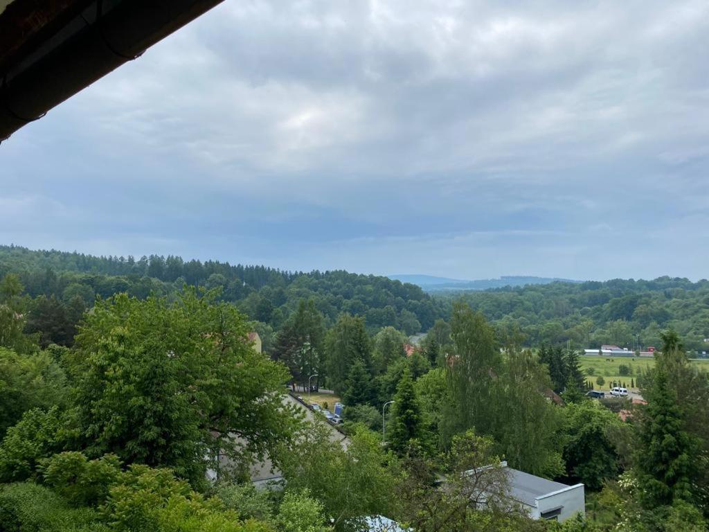 Ferienwohnung Okno Na Izery Löschney Exterior foto